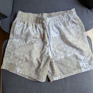 Hollister Swim Trunks